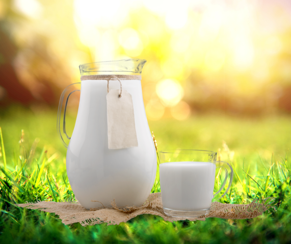 New Zealand Milk and Cream: A Standard of Food Safety